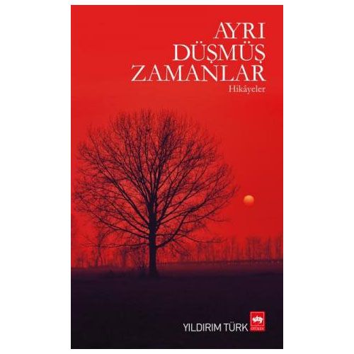 Ayrı Düşmüş Zamanlar - Yıldırım Türk