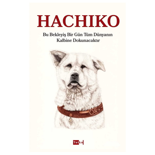 Hachiko - Kolektif