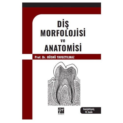 Diş Morfolojisi ve Anatomisi - Hüsnü Yavuzyılmaz