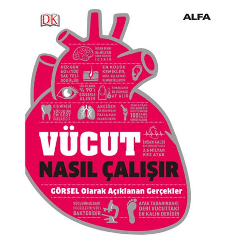 Vücut Nasıl Çalışır - Kollektif