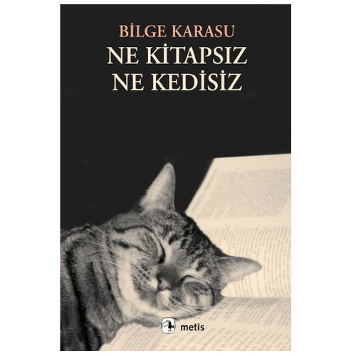 Ne Kitapsız, Ne Kedisiz - Bilge Karasu