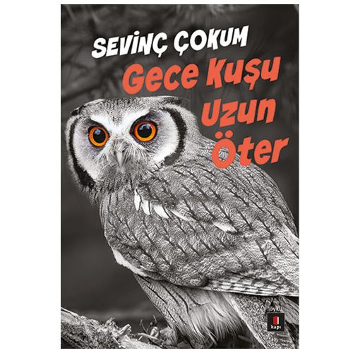 Gece Kuşu Uzun Öter - Sevinç Çokum
