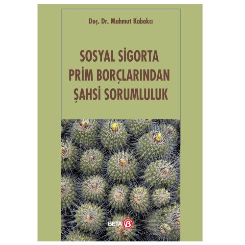 Sosyal Sigorta Prim Borçlarından Şahsi Sorumluluk - Mahmut Kabakcı