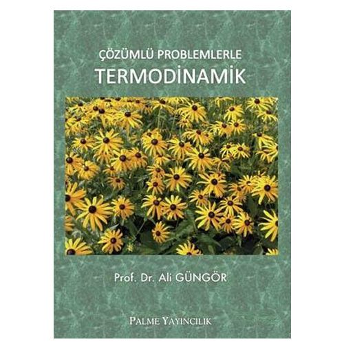 Çözümlü Problemlerle Termodinamik - Ali Güngör