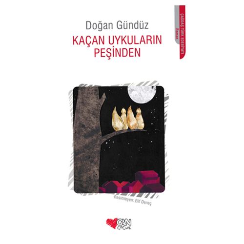 Kaçan Uykuların Peşinden - Doğan Gündüz