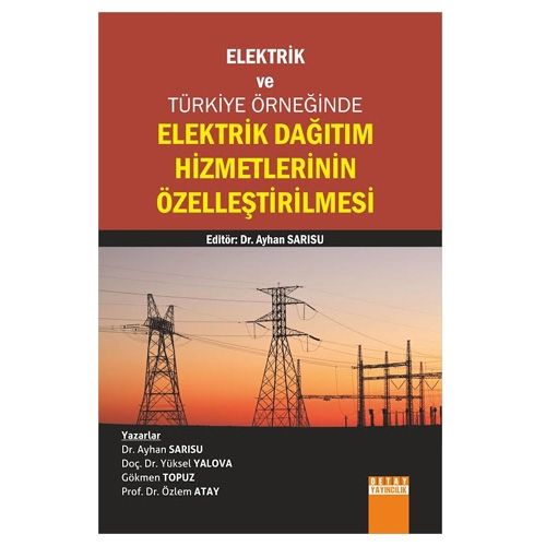 Elektrik Dağıtım Hizmetlerinin Özelleştirilmesi - Ayhan Sarısu