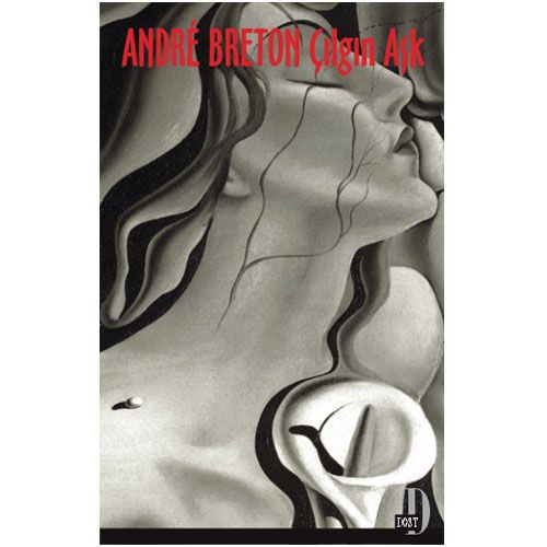 Çılgın Aşk - Andre Breton