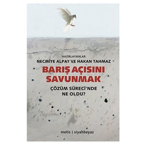Barış Açısını Savunmak - Kollektif