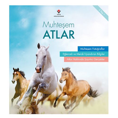 Muhteşem Atlar - Bridget Fitzgerald