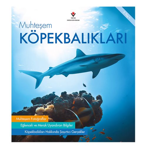 Muhteşem Köpekbalıkları - Bridget Fitzgerald