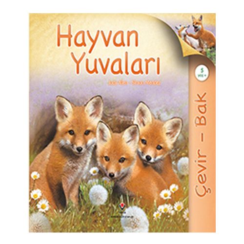 Çevir Bak, Hayvan Yuvaları - Juddy Allen, Simon Mendez