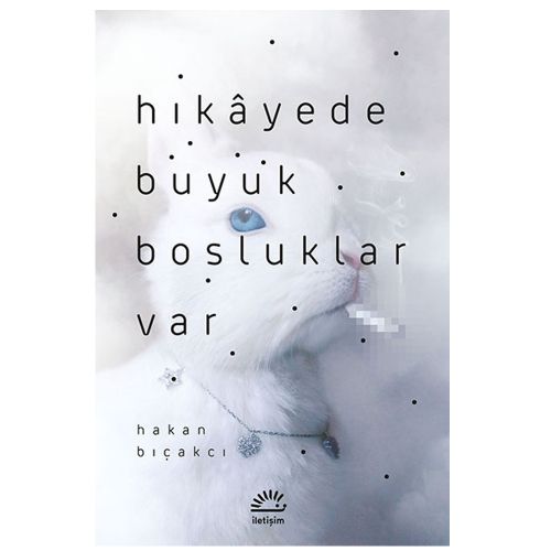 Hikayede Büyük Boşluklar Var - Hakan Bıçakcı