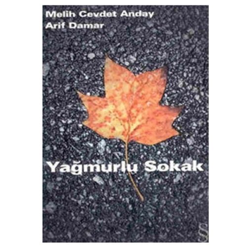 Yağmurlu Sokak - Melih Cevdet Anday, Arif Damar