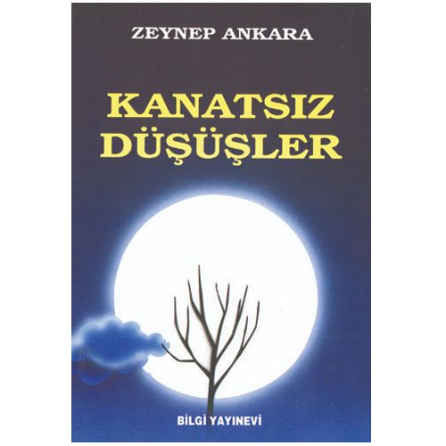 Kanatsız Düşüşler - Zeynep Ankara