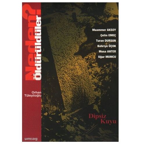 Neden Öldürüldüler? Dipsiz Kuyu 3. Kitap - Orhan Tüleylioğlu
