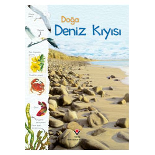 Doğa, Deniz Kıyısı - Sarah Courtauld, Conrad Mason