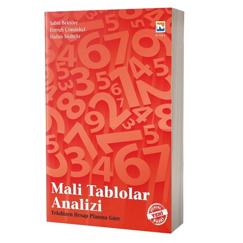 Mali Tablolar Analizi - Sabri Bektöre, Ferruh Çömlekçi, Halim Sözbilir