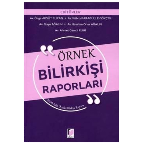 Örnek Bilirkişi Raporları - Ahmet Cemal Ruhi, Gaye Ağalın
