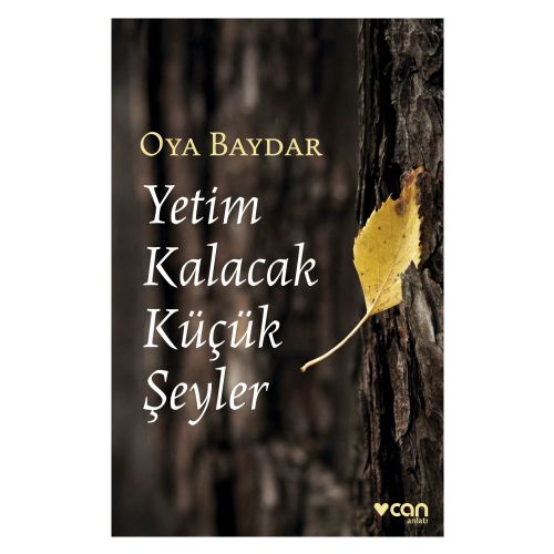 Yetim Kalacak Küçük Şeyler: An’lar Kitabı - Oya Baydar