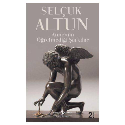 Annemin Öğretmediği Şarkılar - Selçuk Altun