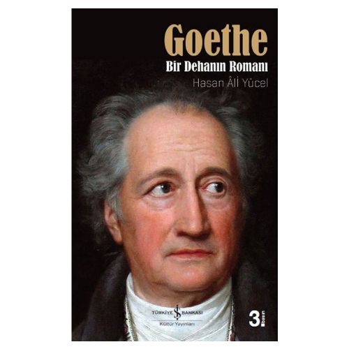 Goethe, Bir Dehanın Romanı - Hasan Ali Yücel