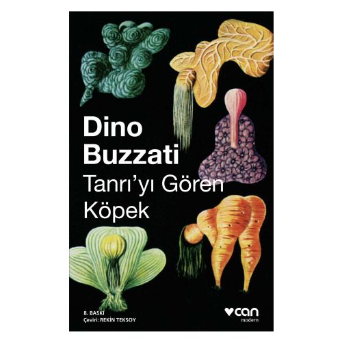 Tanrı\'yı Gören Köpek - Dino Buzzati