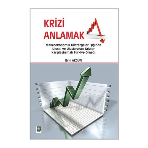 Krizi Anlamak - Evin Akgün