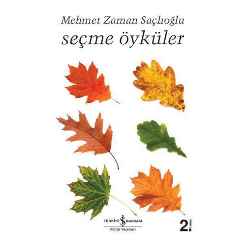 Seçme Öyküler - Mehmet Zaman Saçlıoğlu
