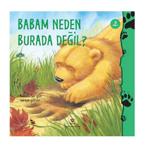 Babam Neden Burada Değil - Heidi Howarth
