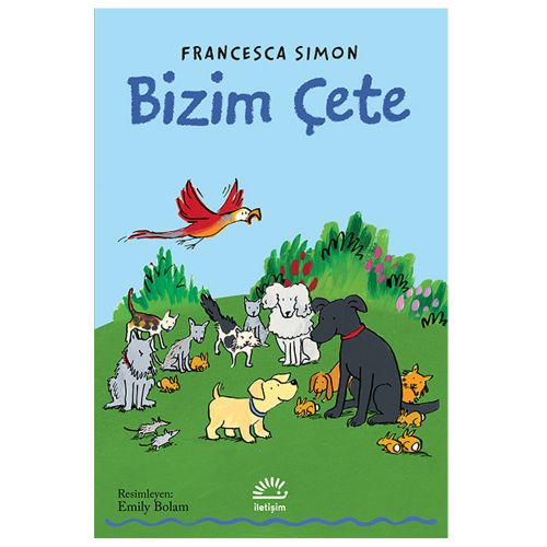 Bizim Çete - Francesca Simon