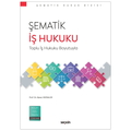  Şematik İş Hukuku Toplu İş Hukuku Boyutunda - Alpay Hekimler