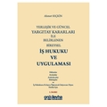  İş Hukuku ve Uygulaması - Ahmet Seçkin