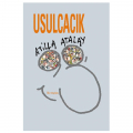 Usulcacık - Atilla Atalay