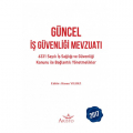 Güncel İş Güvenliği Mevzuatı - Hasan Yıldız