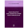  Sınai Mülkiyet Haklarının İhlalinde Cezai Sorumluluk - Cennet Betül Tokgöz