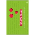  Fenomenoloji - Michael Lewis, Tanja Staehler