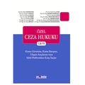  Özel Ceza Hukuku Cilt VI Kamu Güvenine Karşı Suçlar - Köksal Bayraktar, Vesile Sonay Evik, Gülşah Kurt