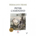 Peter Camenzind - Hermann Hesse