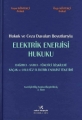 Elektrik Enerjisi Hukuku - Yaşar Köstekçi, Özge Köstekçi