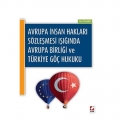  Avrupa Birliği ve Türkiye Göç Hukuku - İlke Göçmen