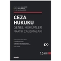 Ceza Hukuku Genel Hükümler Pratik Çalışmaları - Hakan Hakeri, Berrin Akbulut, Murat Aksan