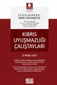 Kıbrıs Uyuşmazlığı Çalıştayları 13 Mayıs 2011 - Gülçin Çam, Mehmet Akif Poroy, Birol Saran