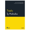 Toplu İş Hukuku - Olgu Özdemir Ertürk, Ahmet Nizamettin Aktay