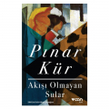 Akışı Olmayan Sular - Pınar Kür