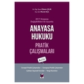  Anayasa Hukuku Pratik Çalışmaları - Özlem Çelik, Murat Açıl