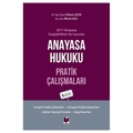 Anayasa Hukuku Pratik Çalışmaları - Özlem Çelik, Murat Açıl