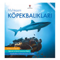  Muhteşem Köpekbalıkları - Bridget Fitzgerald