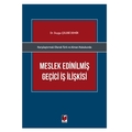  Meslek Edinilmiş Geçici İş İlişkisi - Duygu Çelebi Demir