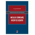 Meslek Edinilmiş Geçici İş İlişkisi - Duygu Çelebi Demir