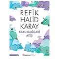 Karlı Dağdaki Ateş - Refik Halid Karay